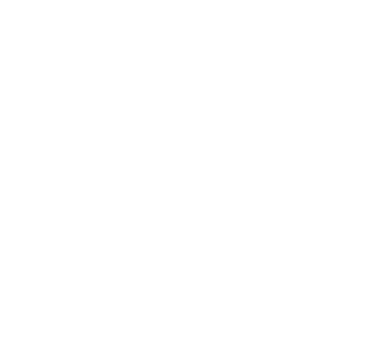 Bear Necessity Amsterdam