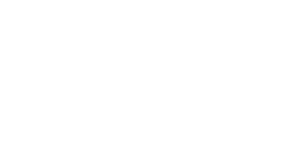 Mister B